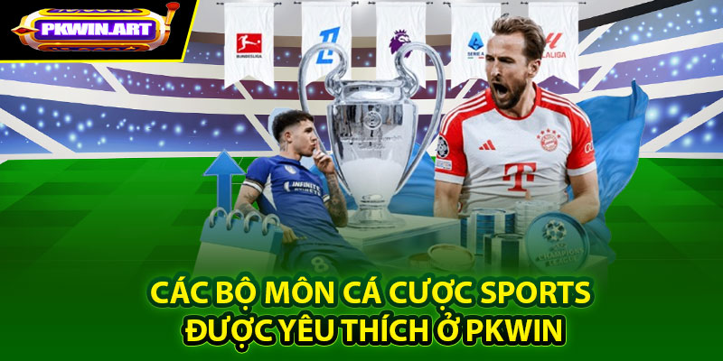 Các bộ môn cá cược Sports được yêu thích ở Pkwin