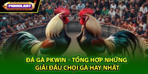 Tổng quan về sảnh cược đá gà Pkwin